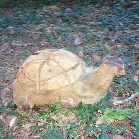 Complejo Turistico Rural A Torre De Hétvégi ház *