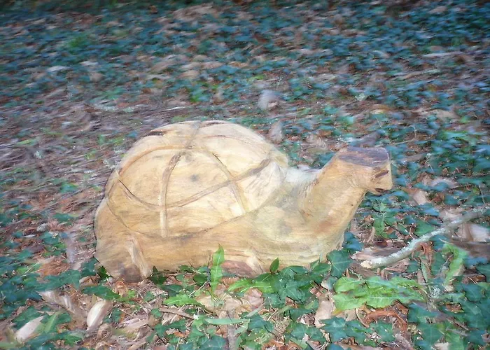 Complejo Turistico Rural A Torre De Εξοχικό σπίτι *