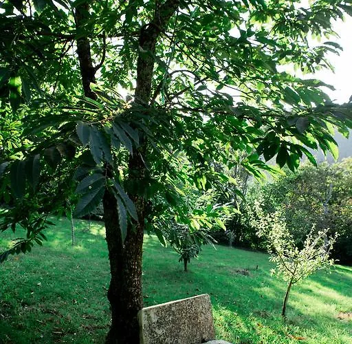 Εξοχικό σπίτι Complejo Turistico Rural A Torre De Laxe
